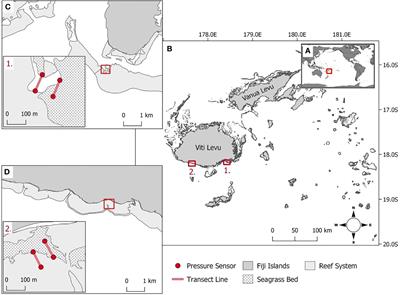 Understanding ecosystem services for climate change resilience in coastal environments: a case study of low-canopy sub-tidal seagrass beds in Fiji